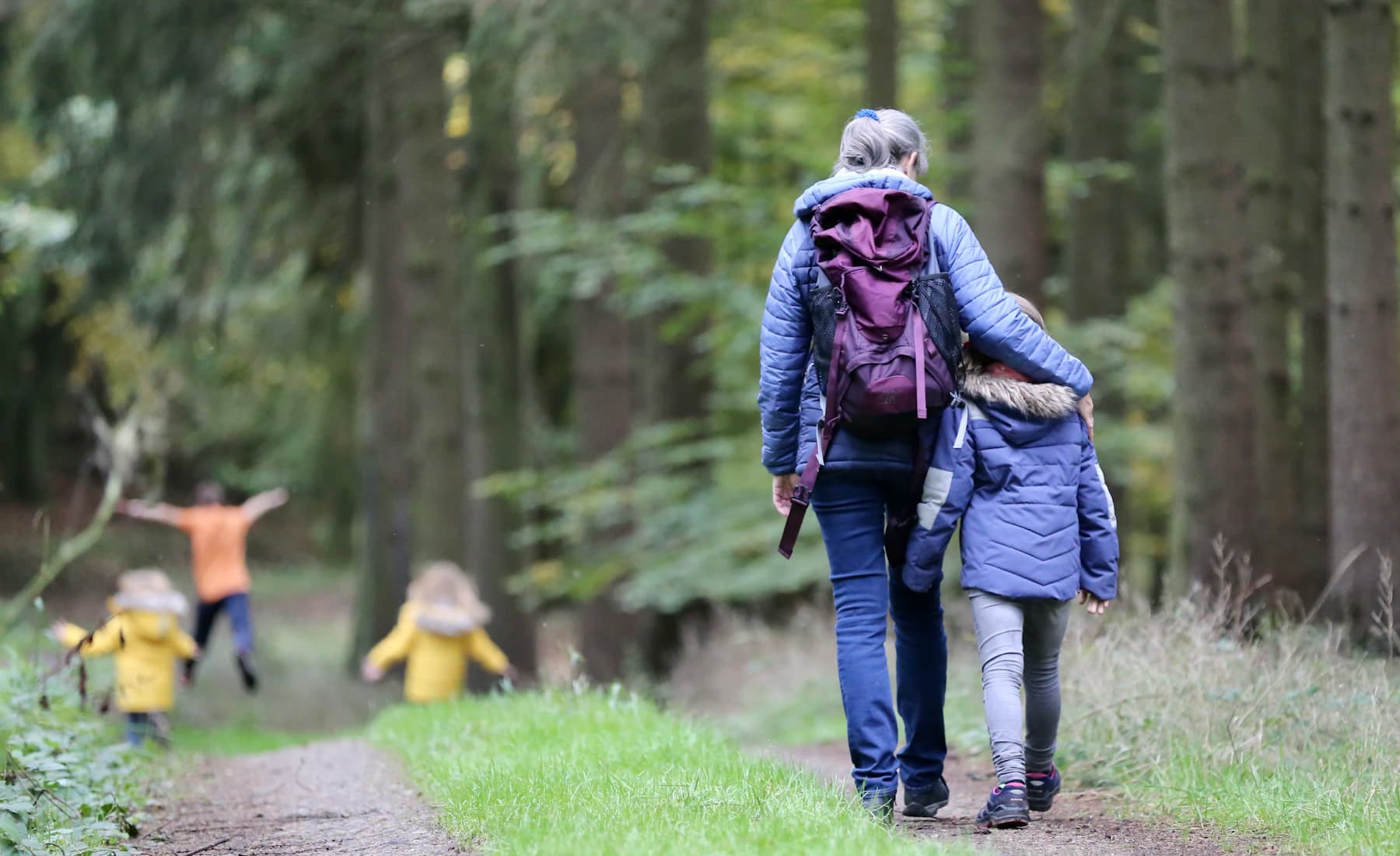 An adult walking beside a child on a forest path